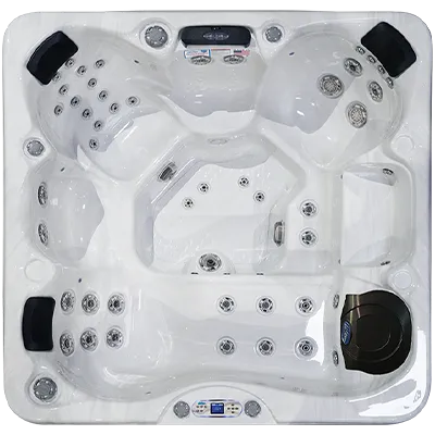 Avalon EC-849L hot tubs for sale in Canton