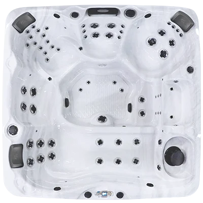 Avalon EC-867L hot tubs for sale in Canton